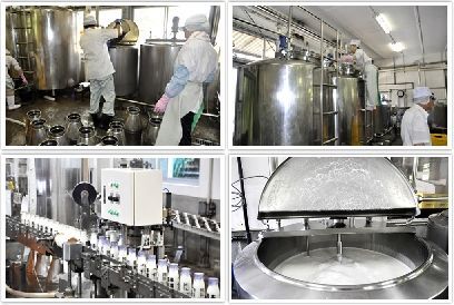 吉本牛乳(さかわの地乳)1L×6本セット