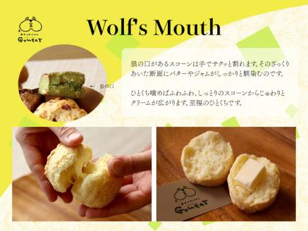 幸せのモーニングスコーン scone 5種10個 内容お任せ プレーン チョコ 抹茶くるみ 柑橘系 季節限定フレーバー各2個 ギフト 個包装 冷凍発送 グーテ