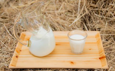 さかわの地乳×田野屋塩二郎の塩アイス6個