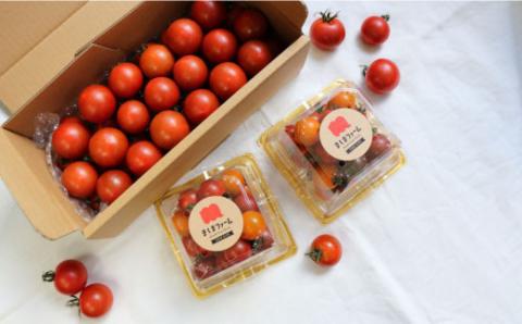 【年3回】フルーツ・野菜 定期便　梨・栗・トマト