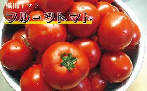 ＜＜2026年発送＞＞【5回定期便】織田トマト フルーツトマト約1kg×5回 （約5kg） 高知 真っ赤なフルーツ太陽＜毎年1月上旬頃まで申込受付＞