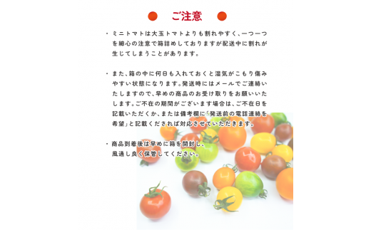 【2026年1月～5月頃発送】＜アルテminiの宝石箱 約1kg×1箱＞フルーツトマト 栽培期間中化学農薬・化学肥料不使用 トマトハウスナカムラ