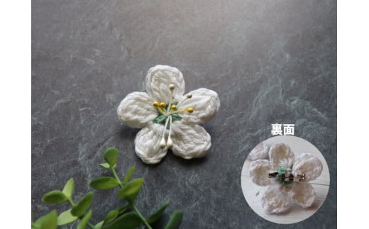 朝ドラらんまんモデル 牧野博士が愛した花 バイカオウレンのアクセサリー3種 ヘアゴム ヘアピン ブローチ 3個（各1個）