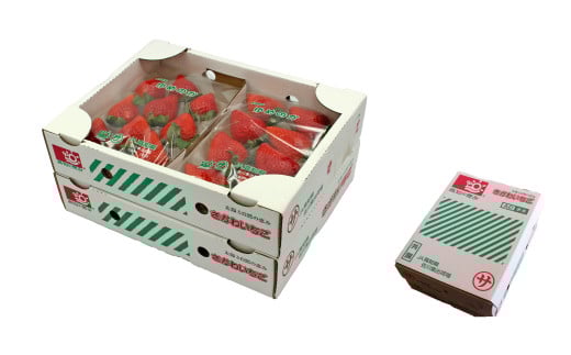 （全2回）佐川町産フルーツ 定期便  いちご 梨