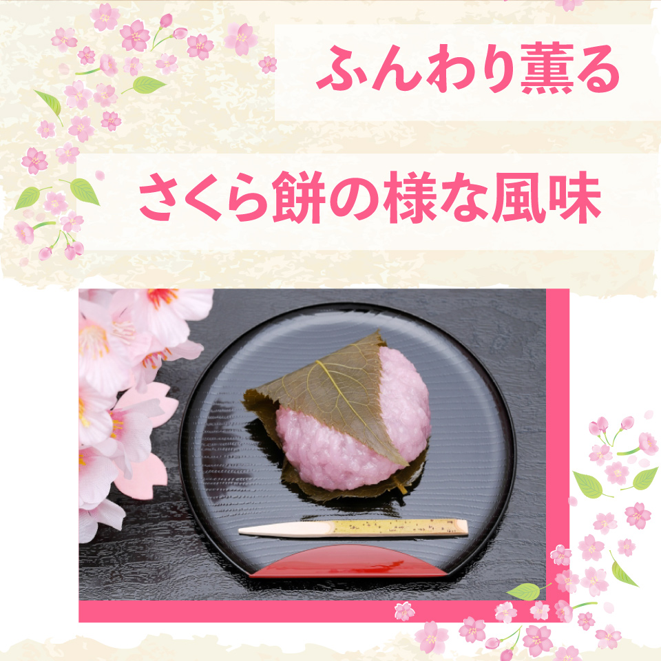 クラフトビール【さくらエール】330ml×3本 TOSACO オリジナル ビール 国産 高知カンパーニュブルワリー