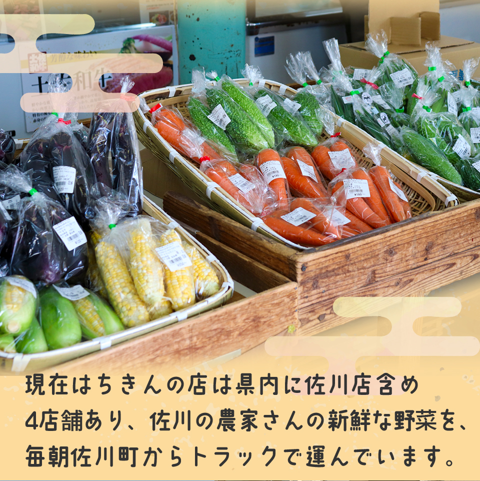 ＜年4回定期便＞ はちきんの店 野菜 セット 7~10品