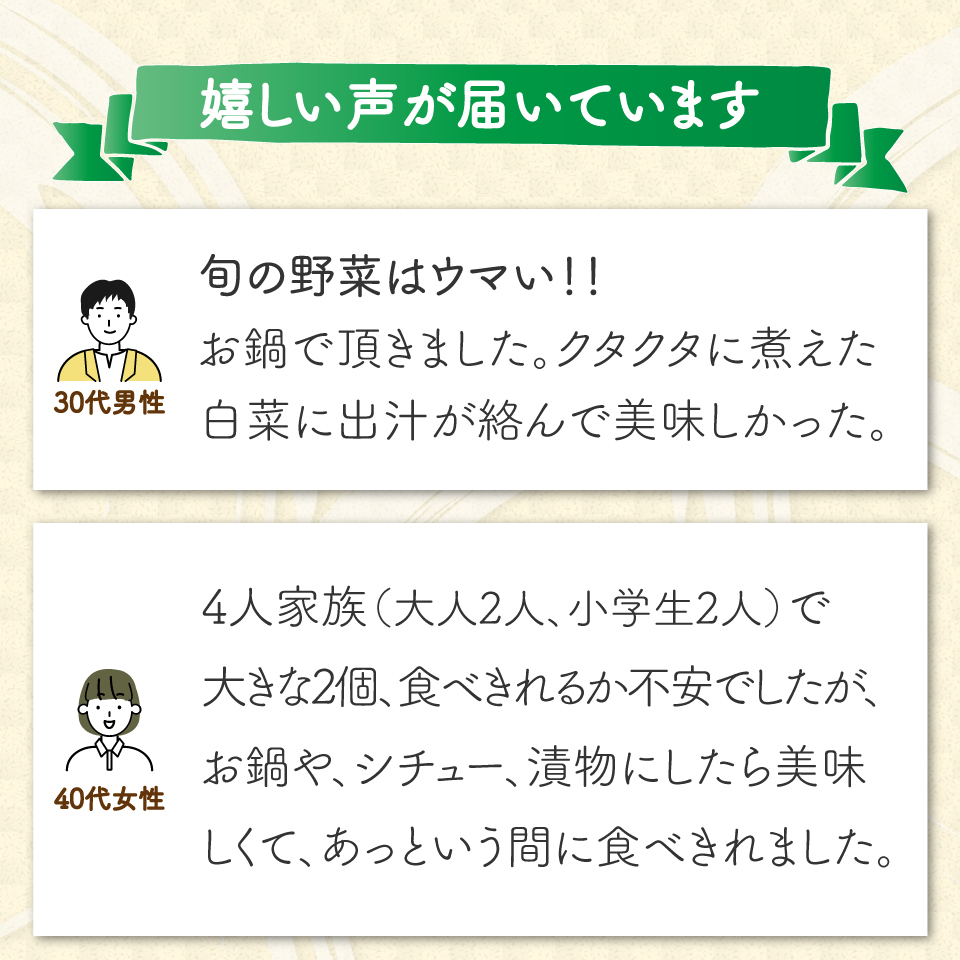 ＜2026年1月以降にお届け＞  ＜佐川町産 白菜 2株（約6kg）＞ 事前予約受付中 高知 新鮮 野菜 お鍋 シチュー