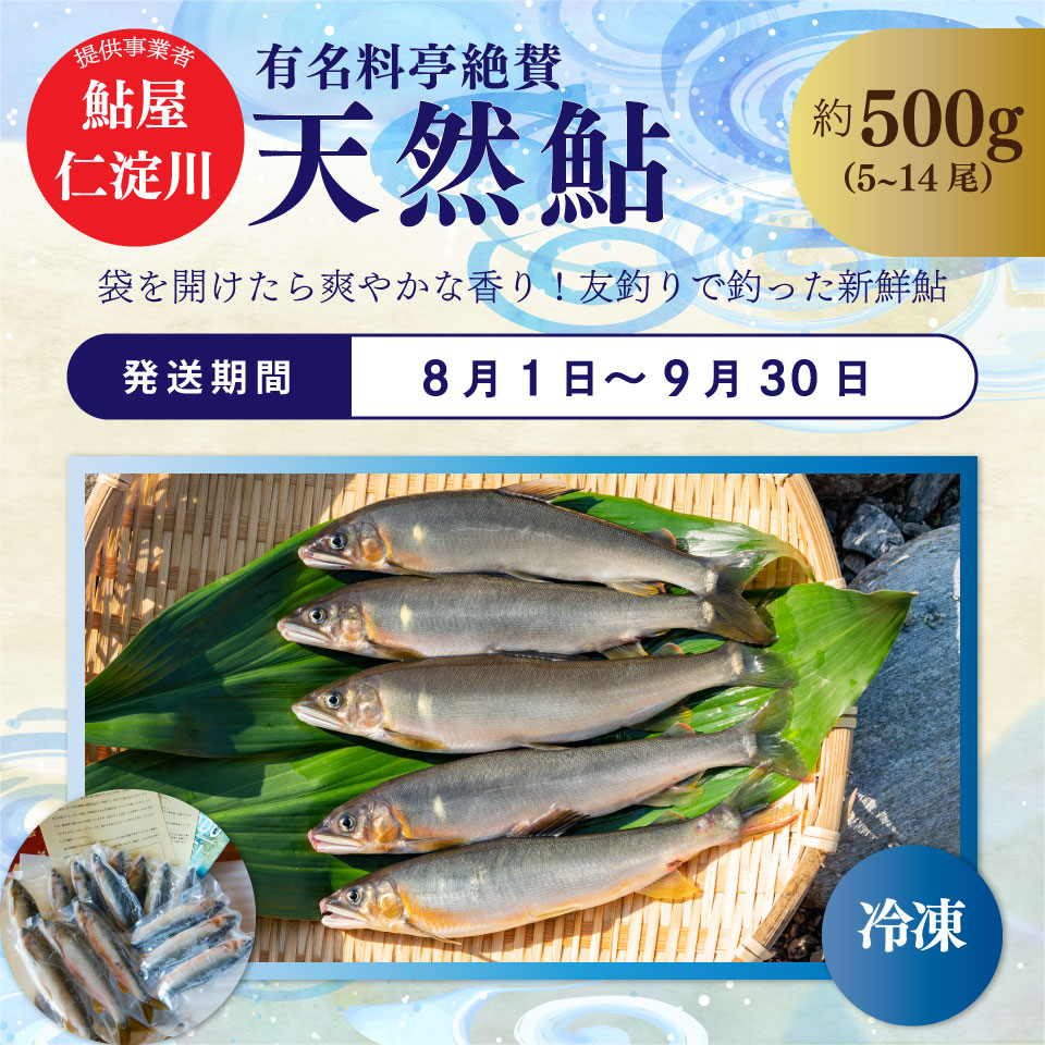 ＜年3回【さかわのお魚定期便（配送月：8月～11月）】うなぎ　かつおのタタキ　鮎＞鰹のタタキ 高知県 大正軒 鮎屋仁淀川 西村商店 かつおのたたき 鰻蒲焼き あゆ  ※※配送できない地域があります※※