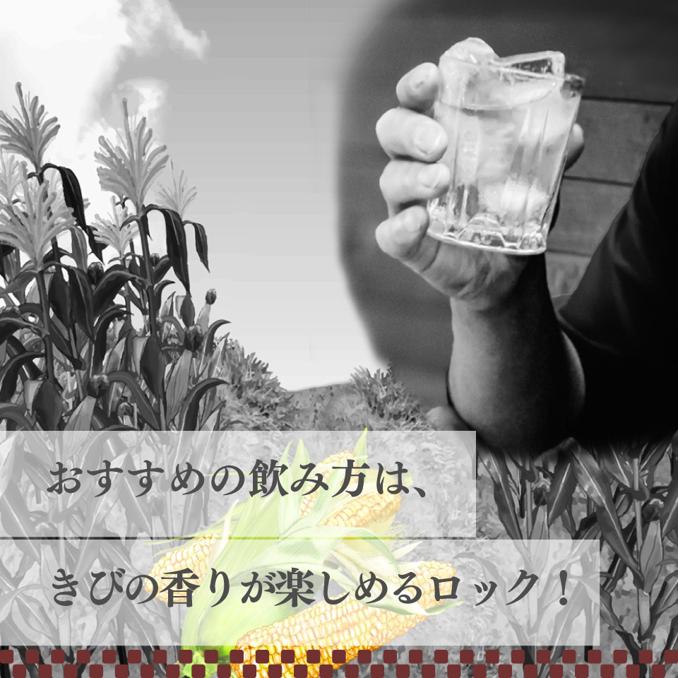 【司牡丹酒造 きび焼酎 500ml×2本】大古酒 20度 30年熟成 数量限定 父の日 母の日 高知 贈答 ギフト プレゼント