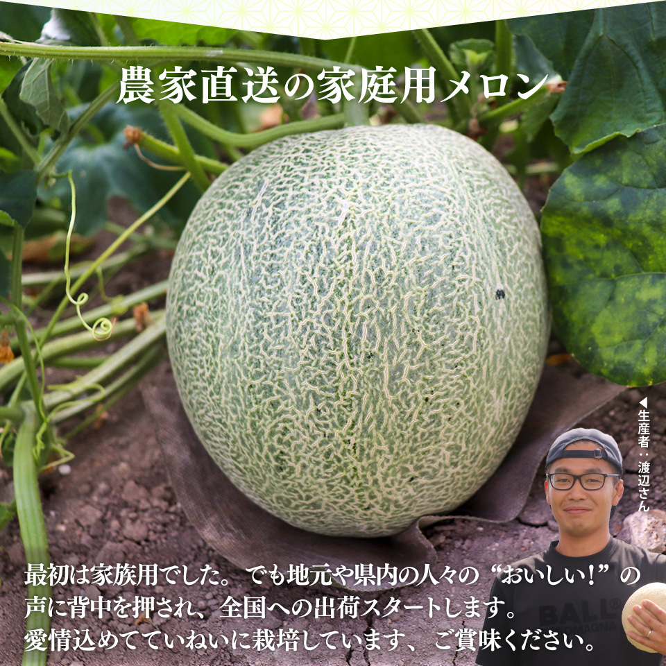 ＜2026年7月中旬頃～8月中旬ごろ発送予定）＞【メロン 2玉 合計約3kg】 サンライズメロン 赤肉 めろん 赤 果物 フルーツ 果実 家庭用 旬 ちょっと訳あり 高知県 佐川町 はちきんの店