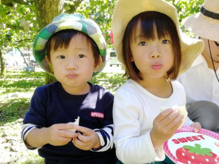 りんご＆梨狩り　果物収穫体験 + 生ジュース搾り体験 土本観光果樹園 お土産付 高知で果物狩り