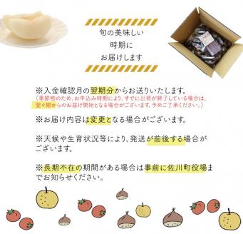【年3回】フルーツ・野菜 定期便　梨・栗・トマト