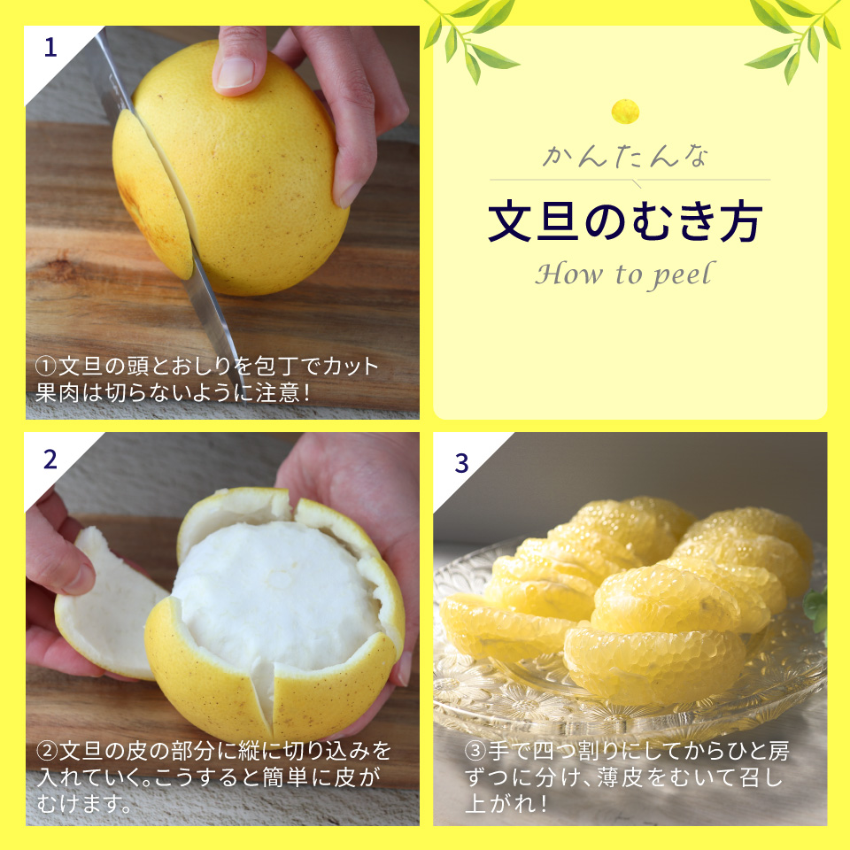 土佐文旦 【5kg】 サイズ混合 ＜2025年2月中旬頃より発送予定＞