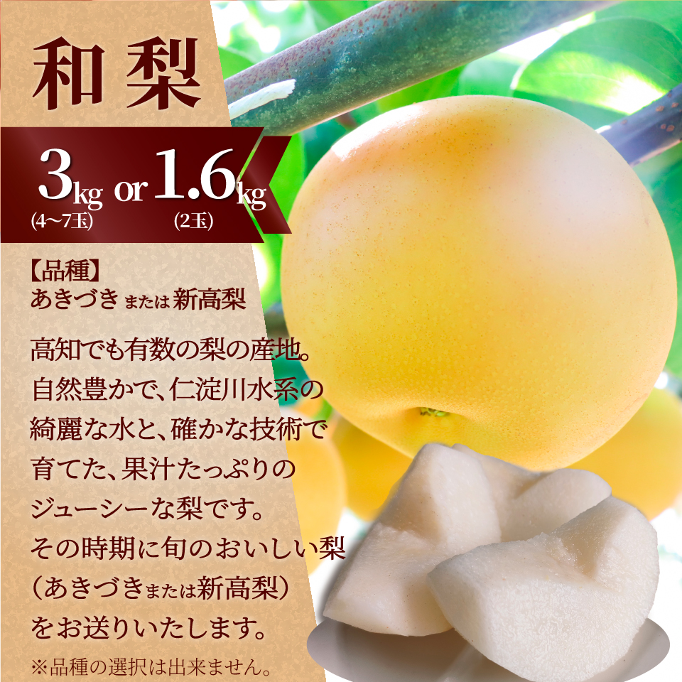 （全３回）佐川町産フルーツ定期便R5 いちご 文旦 梨