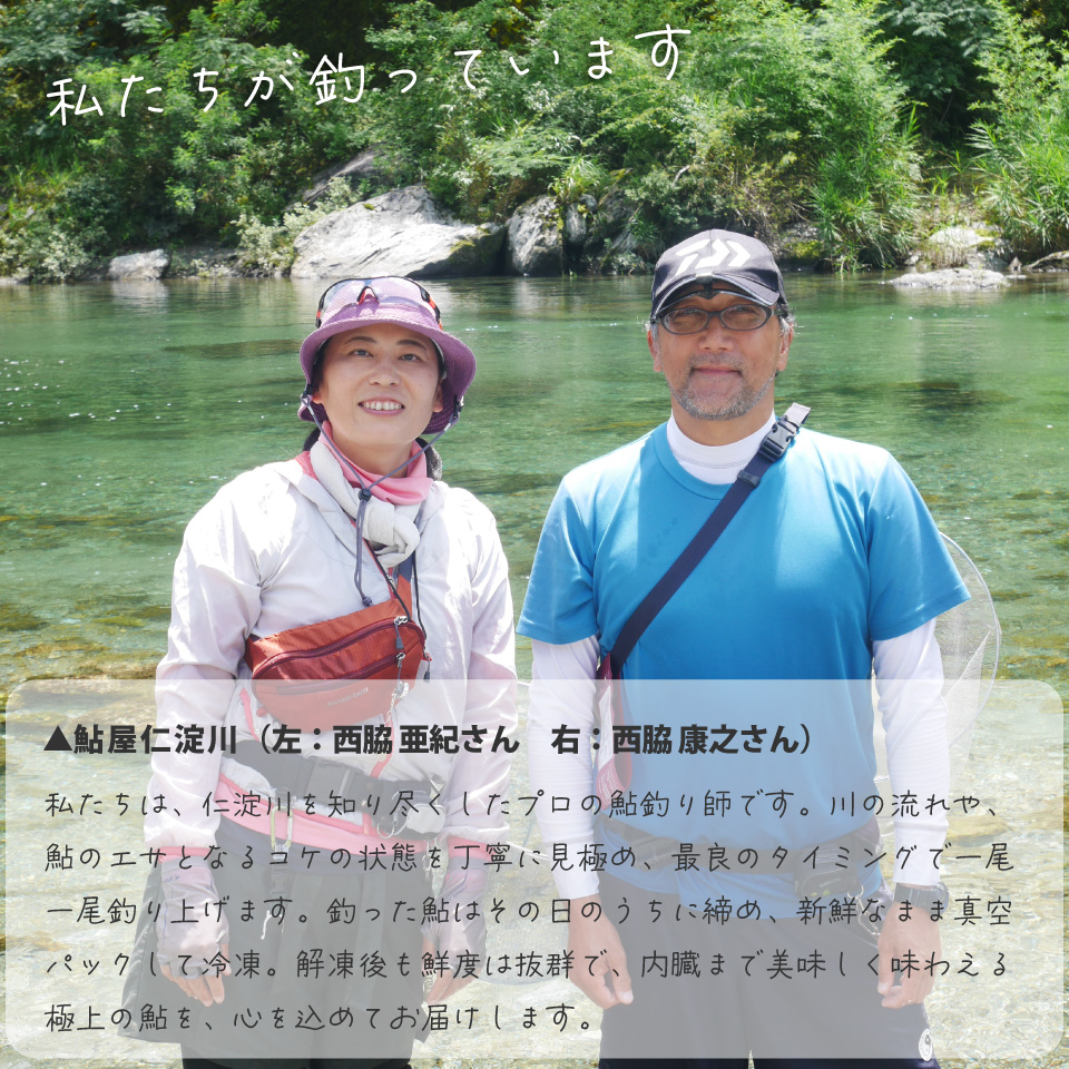 有名料亭絶賛！鮎屋仁淀川の友釣り天然鮎 約1kg