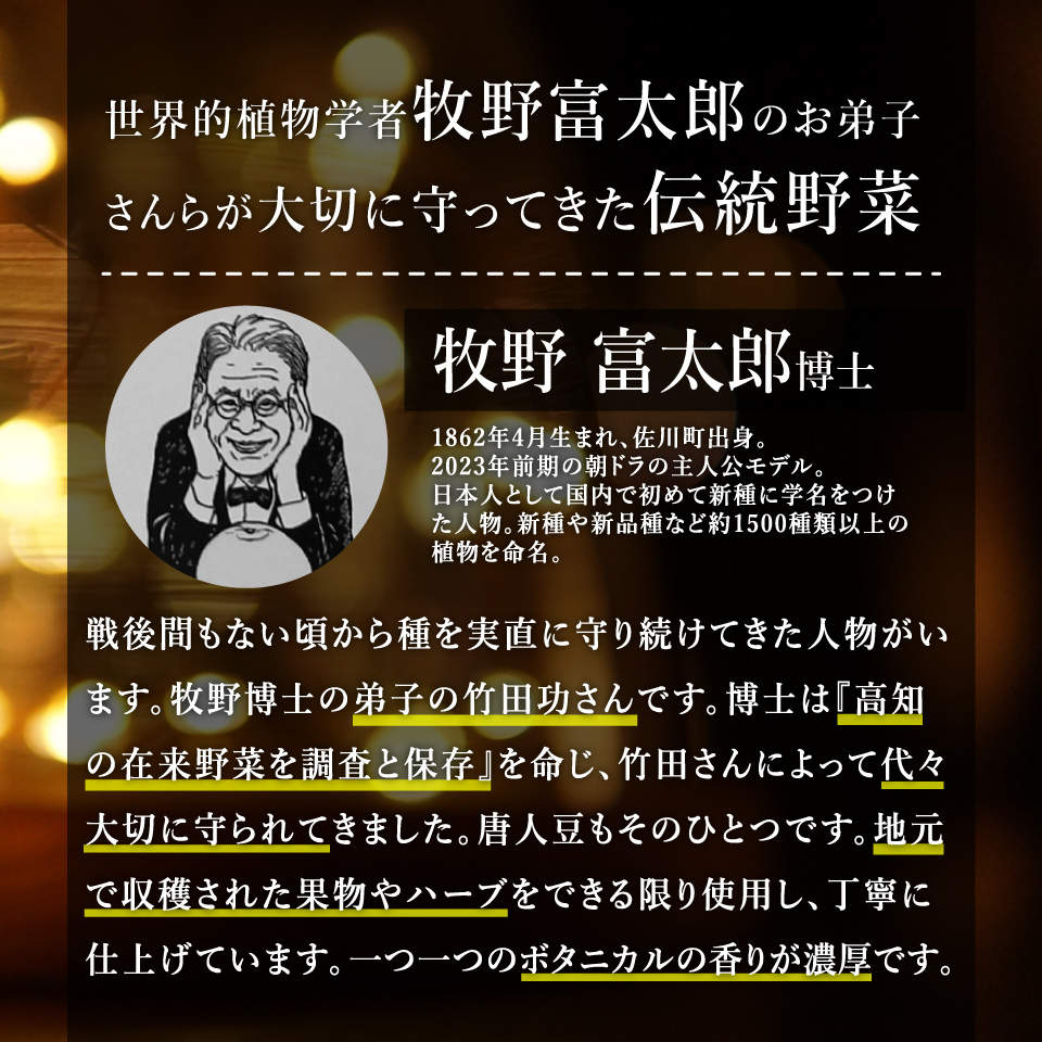 ＜マキノジン プレミアム 720ml×1本＞ 司牡丹酒造 土佐文旦 期間限定フレーバー