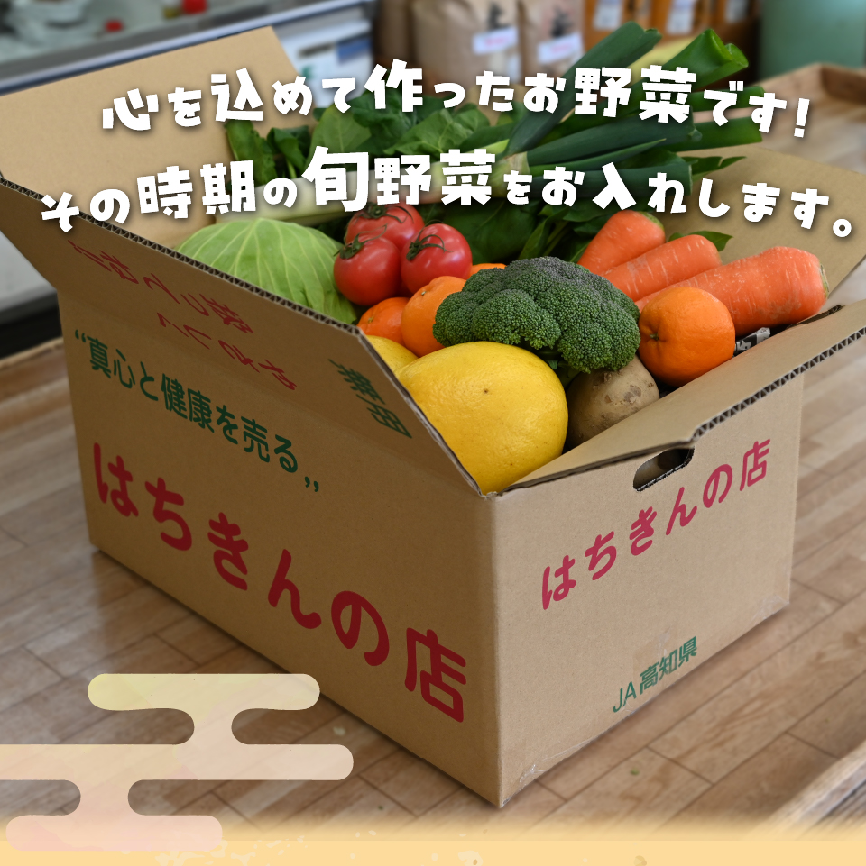 ＜年4回定期便＞ はちきんの店 野菜 セット 7~10品