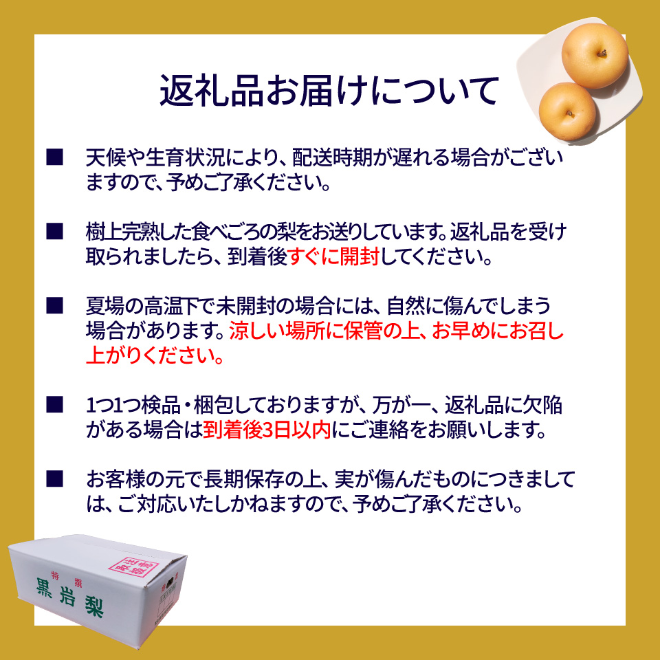 ＜2026年9月中旬頃より発送予定＞訳あり 規格外 あきづき梨 3kg（4～7玉）