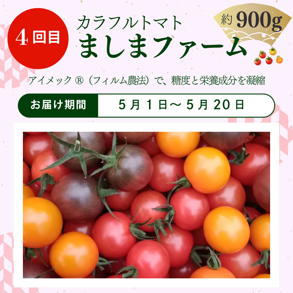 ＜フルーツトマト 計４回 定期便＞ ４農家からリレーでお届け