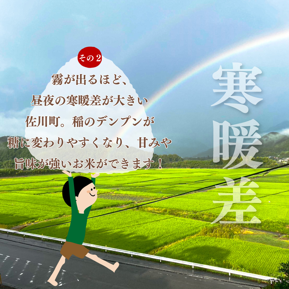 ＜ヒノヒカリ または にこまる 約5kg＞新米 高知県 佐川町産 山間地米 旬 先行予約＜2025年10月中旬～12月末頃お届け＞