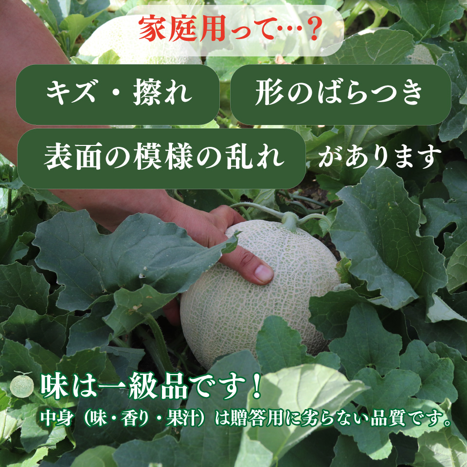 ＜2026年7月中旬頃～8月中旬ごろ発送予定）＞【メロン 2玉 合計約3kg】 サンライズメロン 赤肉 めろん 赤 果物 フルーツ 果実 家庭用 旬 ちょっと訳あり 高知県 佐川町 はちきんの店
