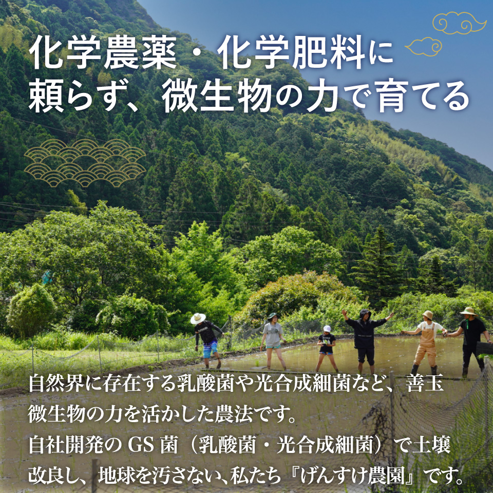 ＜薫る神様のお米 奉納米 縁起米 想い札付き 3合×3袋（桐箱入）＞ 贈答用 受験生や大切な人への贈り物に◎ 希少米 香り米 奇跡の復活 ふさなり 栽培期間中、化学農薬化学肥料不使用