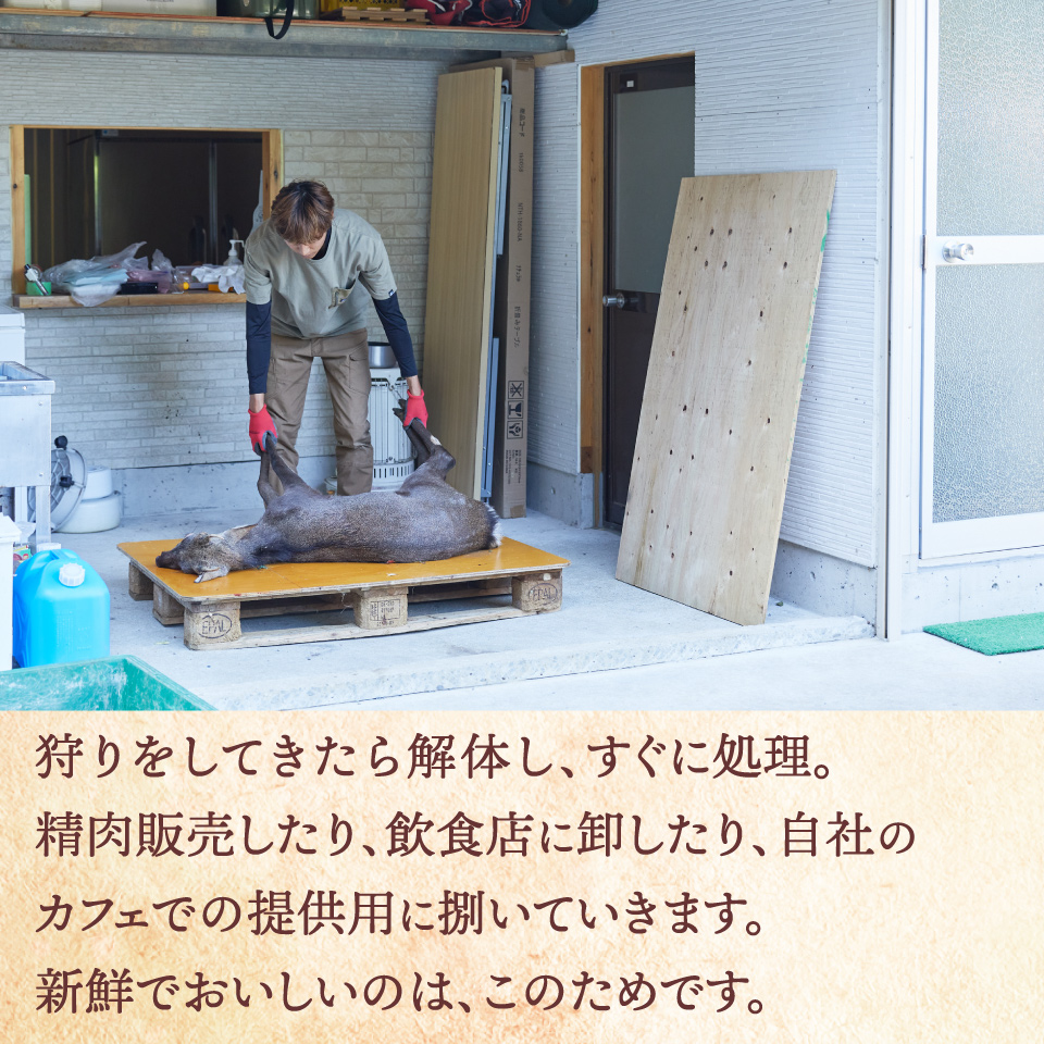 いのししコロッケ 10個