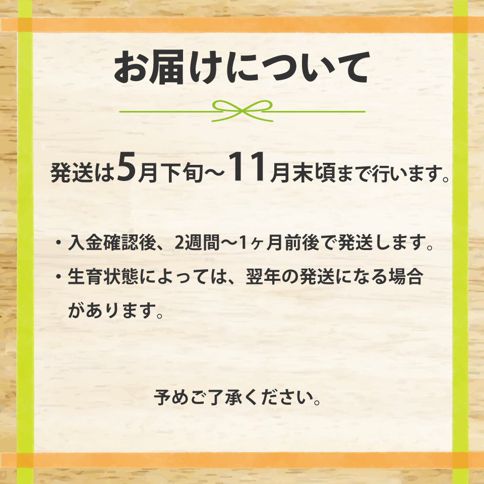 【ピーマン】1kg さらら 高知 野菜 夏 苦みが少ない 佐川町産 ＜毎年5月下旬頃～11月頃まで発送予定＞＜2026年 発送分 予約受付中＞