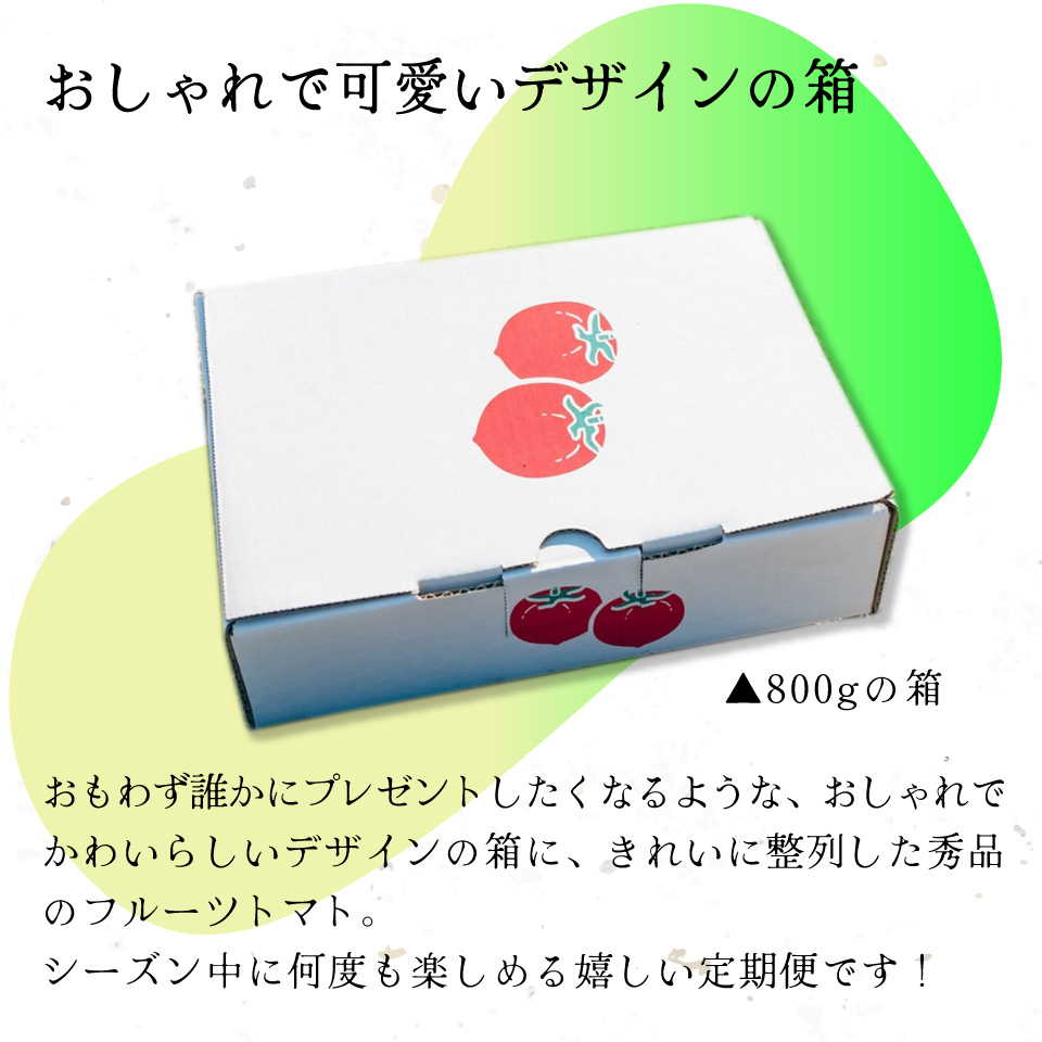 【3回定期便】フルーツトマト 原田農園 約800g 小箱　（12月下旬～5月頃発送）＜2025年12月下旬頃より順次発送＞