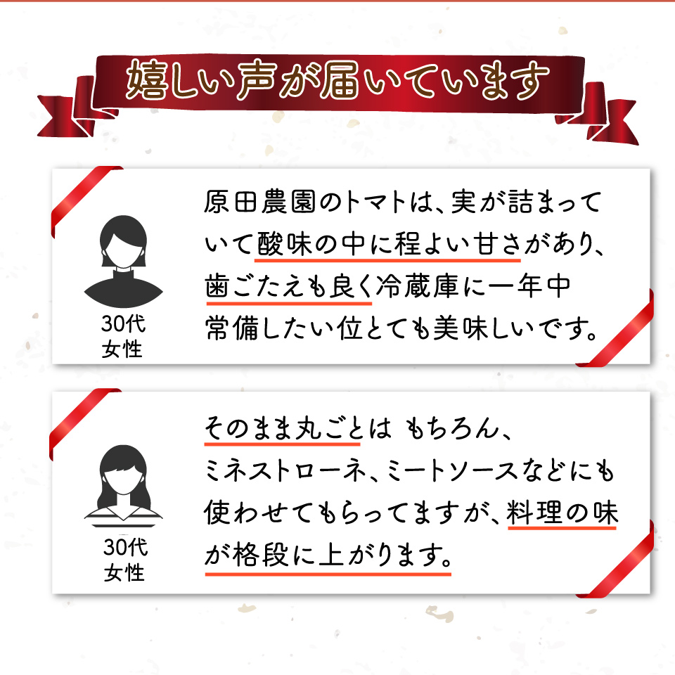 【3回定期便】 訳あり フルーツトマト 原田農園 1.8kg （12月下旬～5月頃発送）＜2025年12月下旬頃より順次発送＞