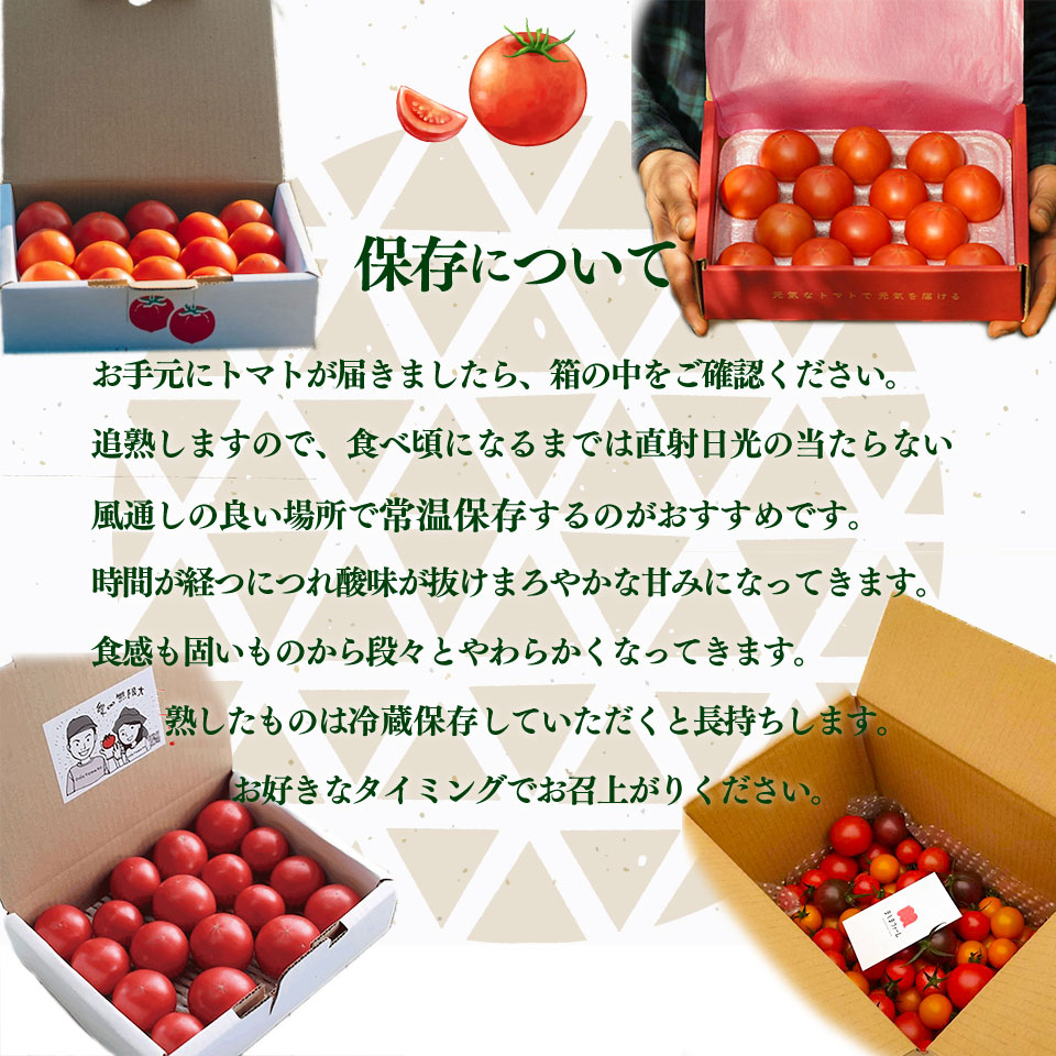 ＜フルーツトマト 計４回 定期便＞ ４農家からリレーでお届け