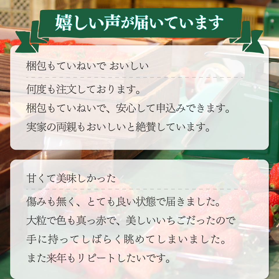 ＜2026年1月頃～3月頃発送（予定）＞【ゆめのか 285g×4パック】 いちご 苺 イチゴ  ストロベリー 佐川町産 贈答 ギフト 秀品