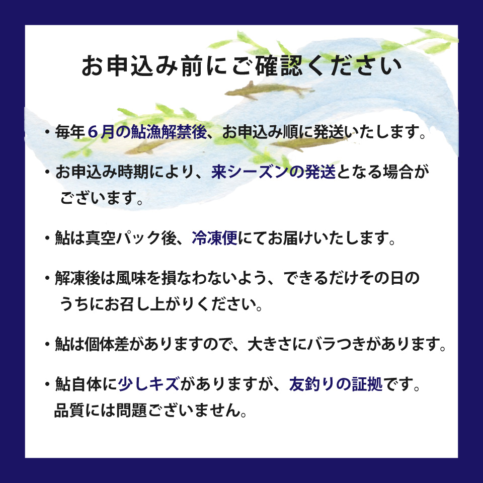 有名料亭も絶賛！鮎屋仁淀川の仁淀ブルー友釣り天然鮎 約500g