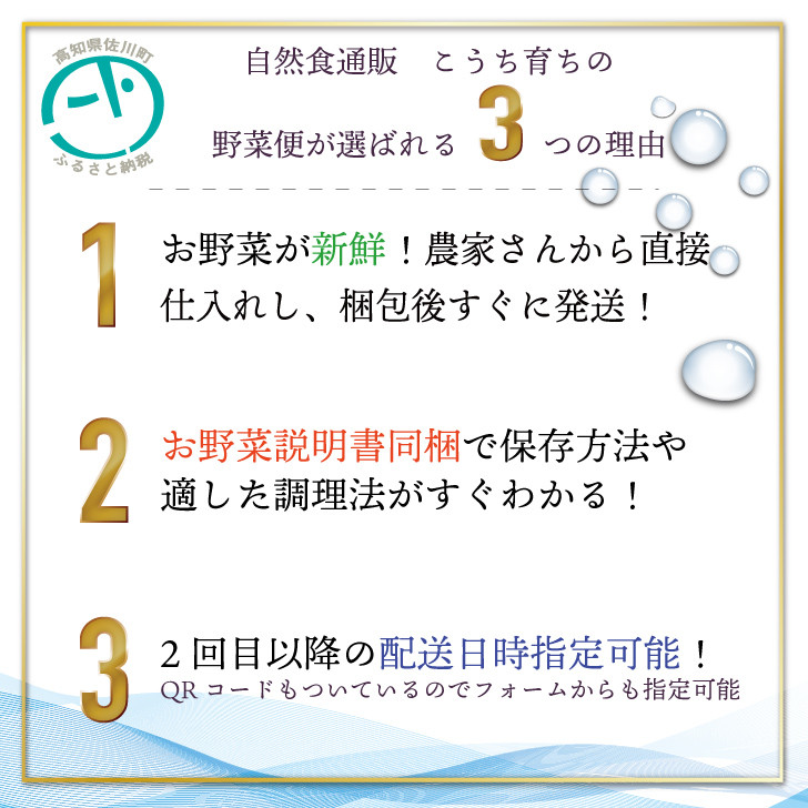 【年6回】高知から産直！旬の季節のお野菜定期便（7～9品）