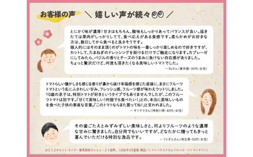 ＜2026年1月～5月頃発送＞【定期便3回】＜アルテトマト 約800g（10‐16玉）×3箱＞計約2.4kg フルーツトマト 栽培期間中化学農薬・化学肥料不使用 高知県 トマトハウスナカムラ 佐川町