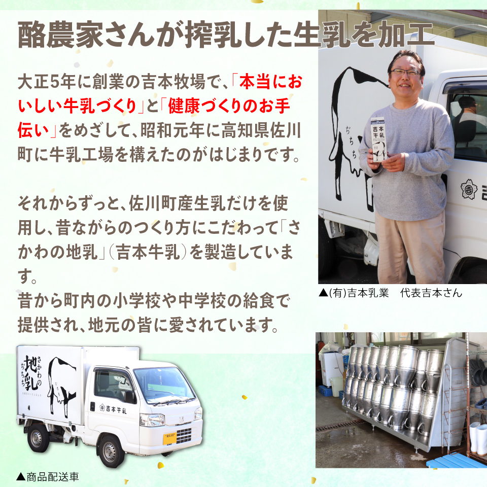 ＜吉本牛乳（さかわの地乳）・ 吉本コーヒー 各200ml×5本 合計10本＞ 　コーヒー牛乳 吉本乳業 高知県 佐川町 成分無調整 生乳100％ ぢちち NHKあさイチで紹介 ご当地牛乳