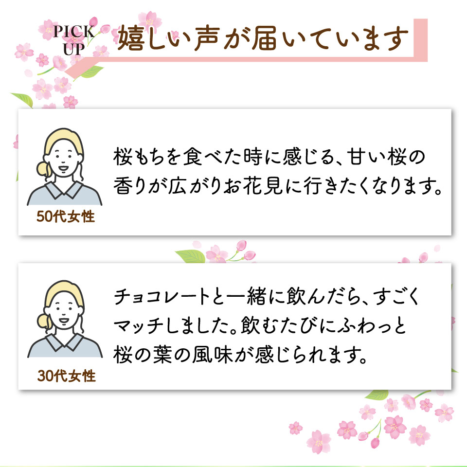 クラフトビール【さくらエール】330ml×3本 TOSACO オリジナル ビール 国産 高知カンパーニュブルワリー