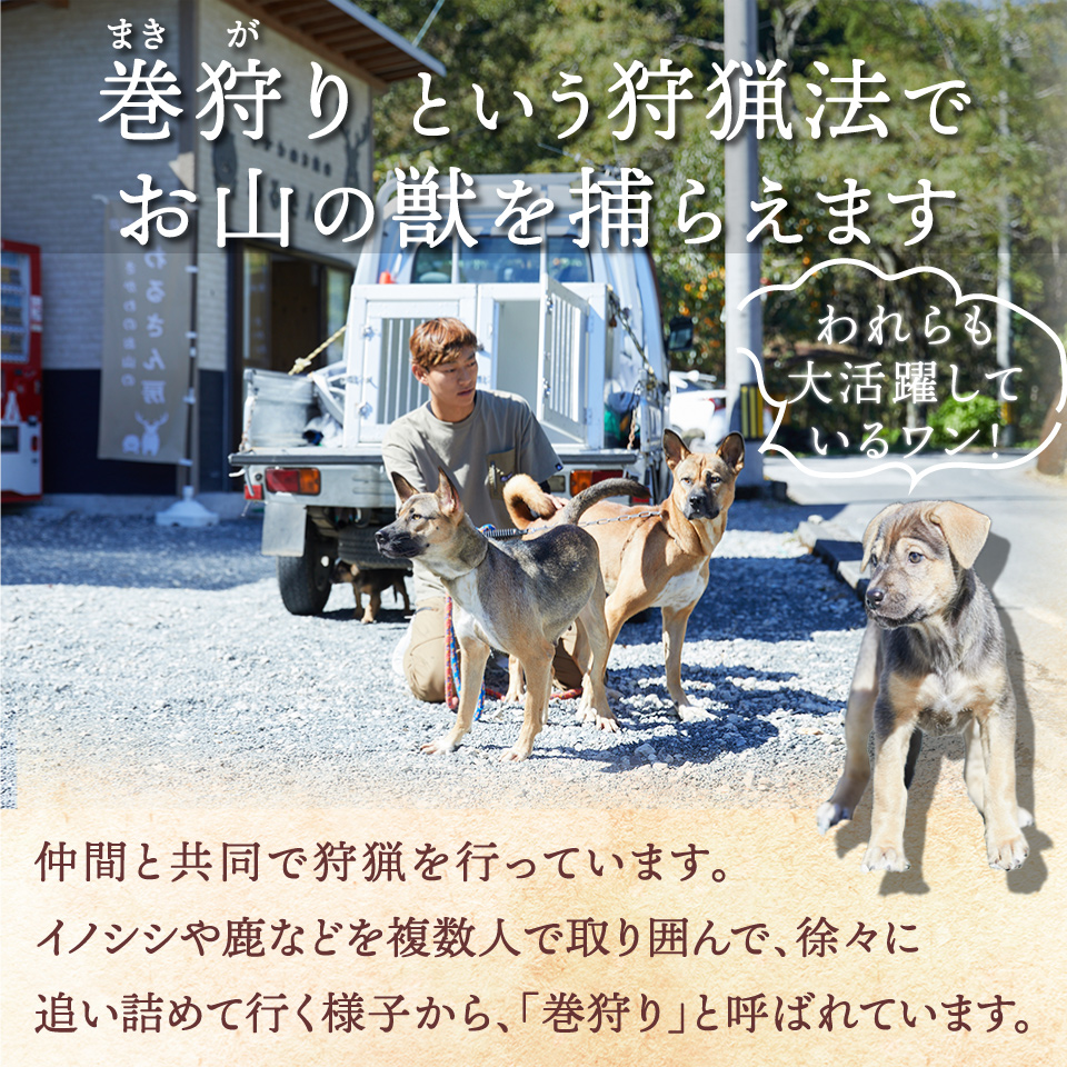 いのししコロッケ 10個