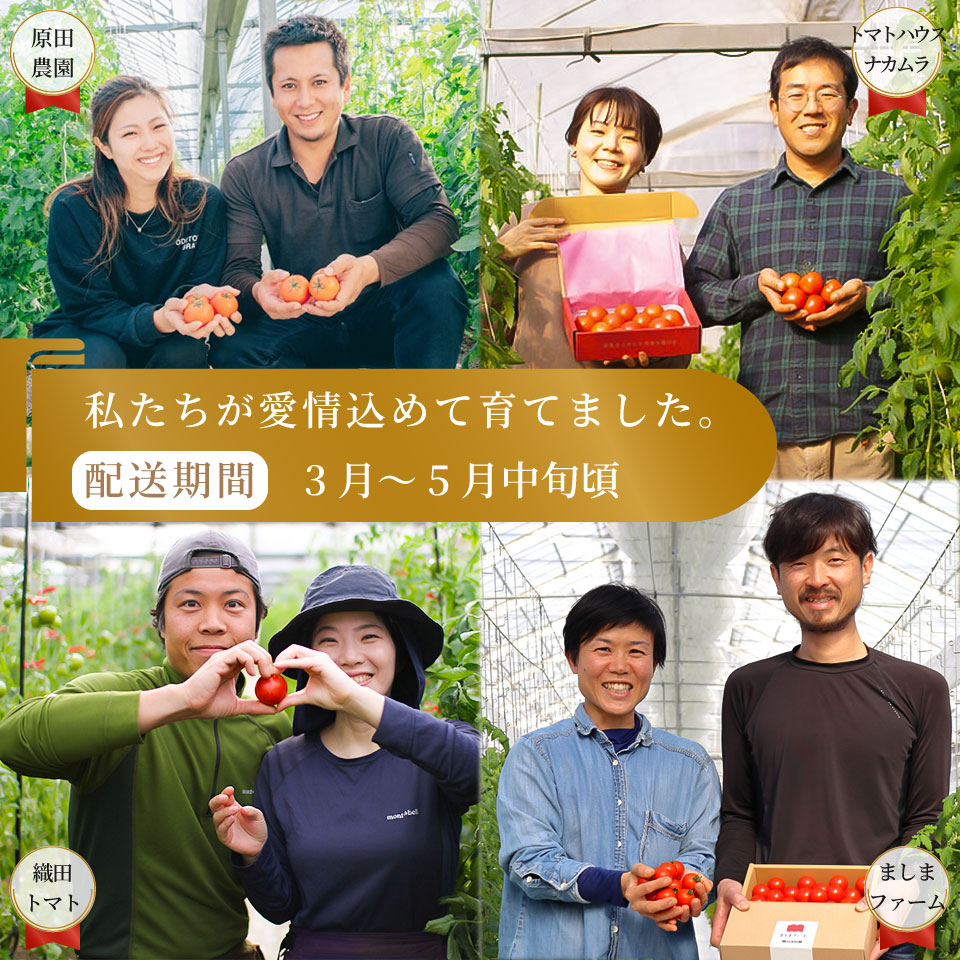＜フルーツトマト 計４回 定期便＞ ４農家からリレーでお届け