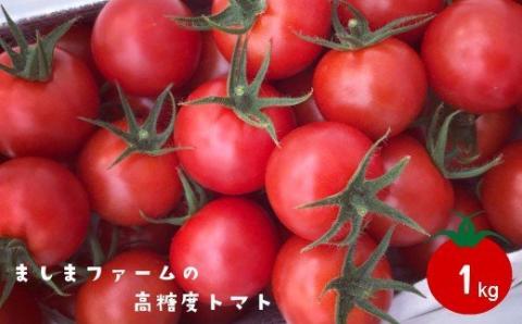 【2025年12月～2026年7月頃発送】高糖度ミニトマト＜約1kg＞ 秀品 フルティカ【化粧箱入／プレゼント・ギフト・贈答用に】小分けパック アイメック® ましまファーム フルーツトマト  牧野富太郎博士の好物