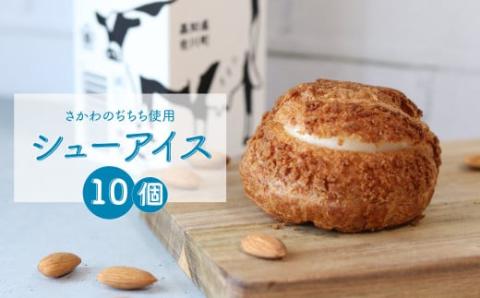 ぢちちのシューアイス 10個入　吉本乳業 吉本牛乳 おかしの家Repos(ルポ) 個包装 プレゼント 菓子職人手作り