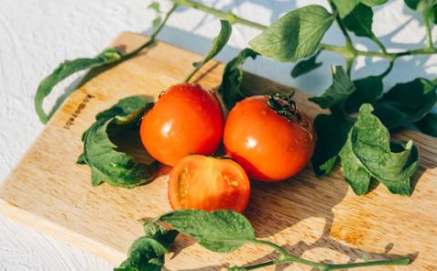 ＜2025年12月下旬頃より順次発送＞フルーツトマト 原田農園 約800g（小箱）＜毎年12月下旬頃～5月頃まで発送＞