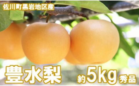 ＜2024年秋発送＞豊水梨(約5kg)【期間限定】