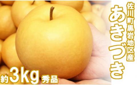 <2026年9月中旬頃より発送予定>　あきづき 梨（約3kg／4～7玉）秋月梨　黒岩