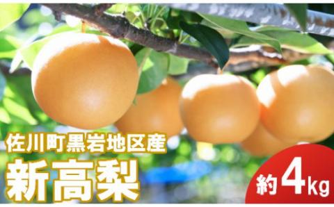 <2025年 10月上旬～中旬ごろ発送予定>　新高梨(約4kg／4～6玉)【期間限定】にいたか 和梨 大きい 大玉 贈答用