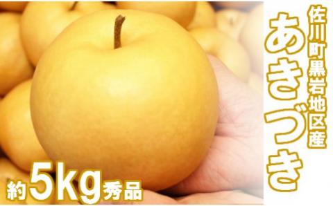 <2026年9月中旬頃より発送予定>　あきづき 梨（約5kg／8～12玉）秋月梨　黒岩