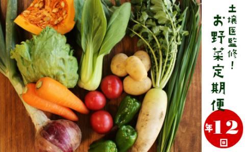 【年12回】高知から産直！旬の季節のお野菜定期便（7～9品）
