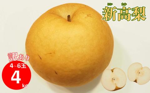 ＜2025年10月中に発送予定＞　≪訳あり品（変形 キズあり）≫　新高梨 4～6玉 （約 4kg）
