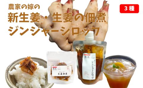 【新生姜1kg・佃煮1袋・シロップ1個】農家の嫁の生姜佃煮1袋70g ジンジャーシロップ200ml クラフトジンジャー 掘りたて 土付き 新ショウガ 1kg ごはんのお供　＜新生姜収穫後11月下旬頃より順次発送＞（C）