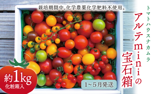 【2026年1月～5月頃発送】＜アルテminiの宝石箱 約1kg×1箱＞フルーツトマト 栽培期間中化学農薬・化学肥料不使用 トマトハウスナカムラ